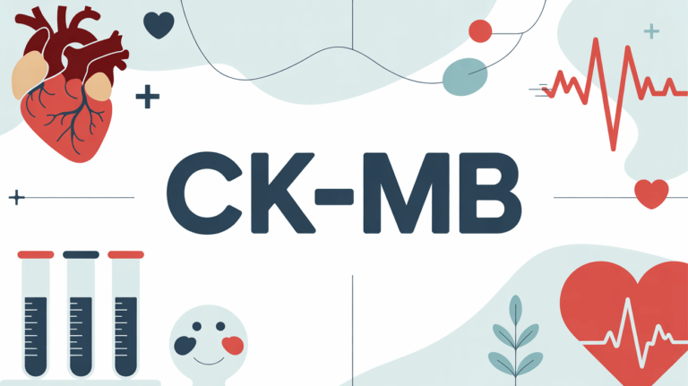illustration ck mb bilan cardiaque medical